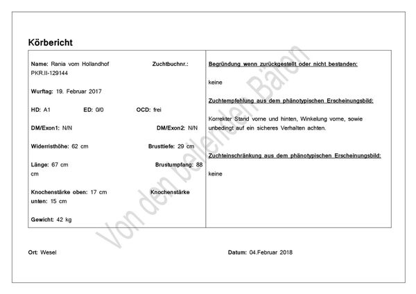 koerbericht rania fron kt